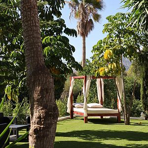Hotel Restaurante La Plantación